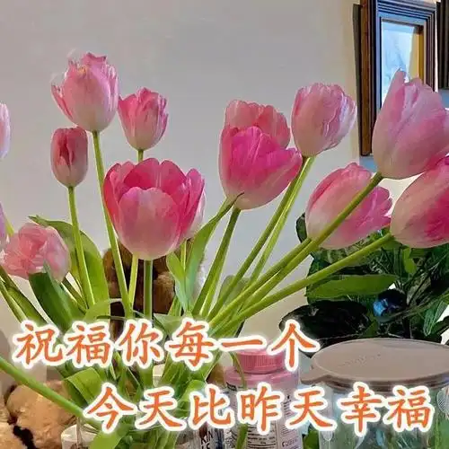 问候朋友早上好的温馨祝福语 温馨祝福早上好的短语|歌曲_网易订阅