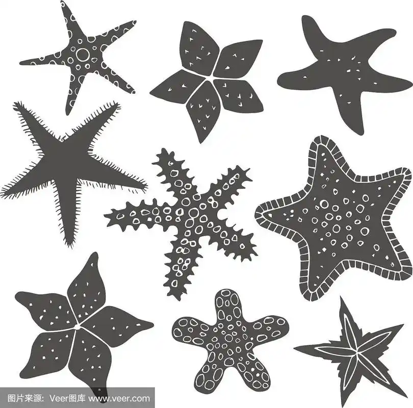 手绘矢量线海星集.