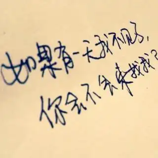 如果有一天我不再打扰你了