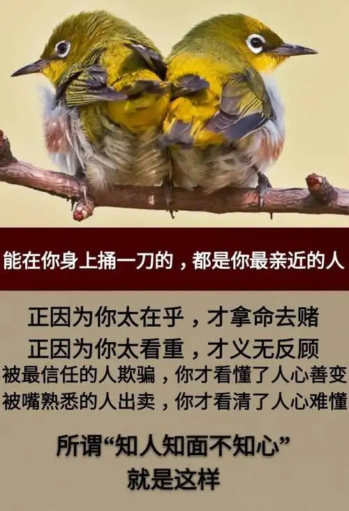 出卖你的都是你最信任的朋友在你身上捅一刀的都是你最亲近的人现实