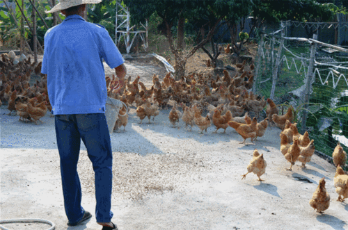 700_463gif 动态图 动图