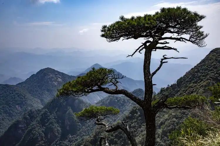 三清山印象:神奇的巨石与苍劲的岩松 - 美篇