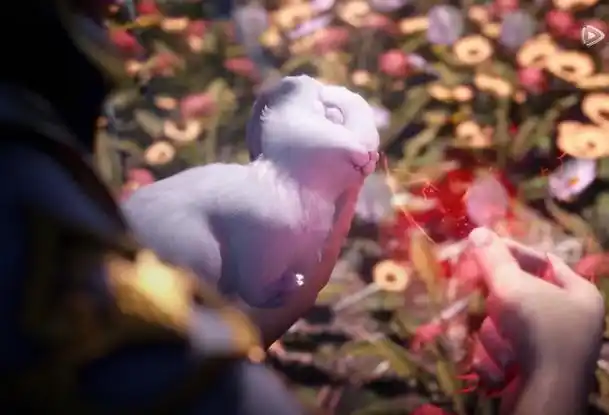 斗罗大陆小舞变柔骨兔一开始竟是纯白色的相思断肠红才令她变成粉色