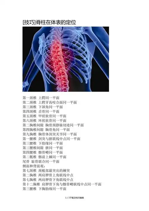 脊柱在体表的定位