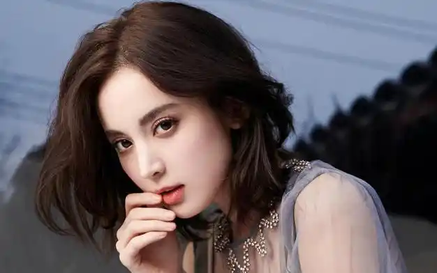 娱乐点评杨紫陈哲远古力娜扎胡先煦安以轩虞书欣