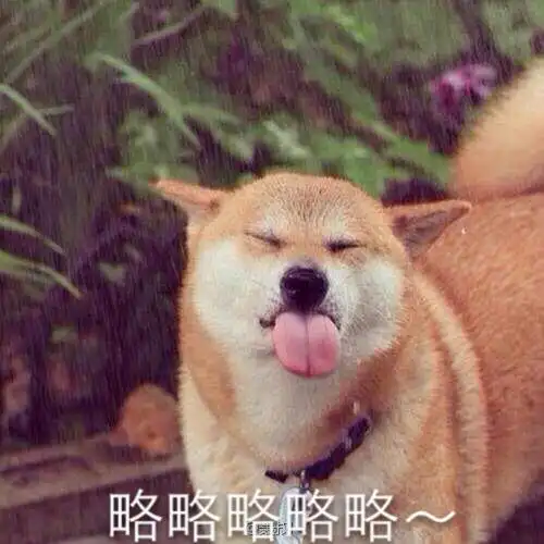 qq表情 逗比表情