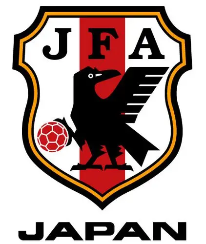 日本国家队2010新徽标