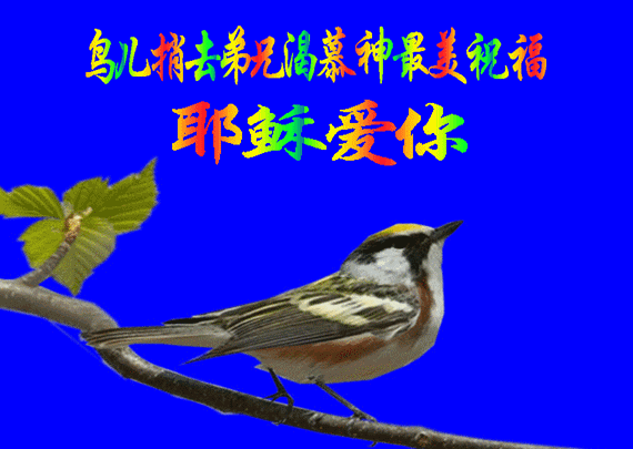 欢迎弟兄姊妹光临-耶稣爱你-我也爱你