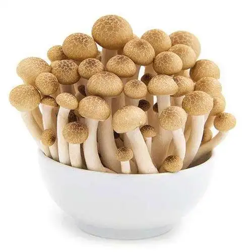 每日鲜蟹味菇120克130克