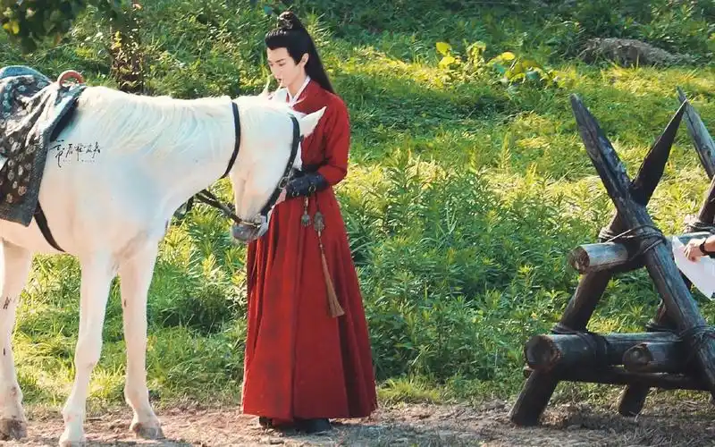 杀破狼烽火流金陈哲远长庚执笔江山的雁王最让人动容