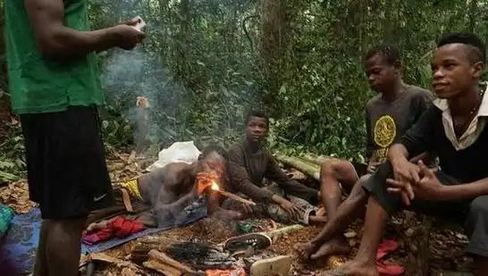 非洲俾格米人发育早寿命短8岁就发育成熟身高普遍不足15米