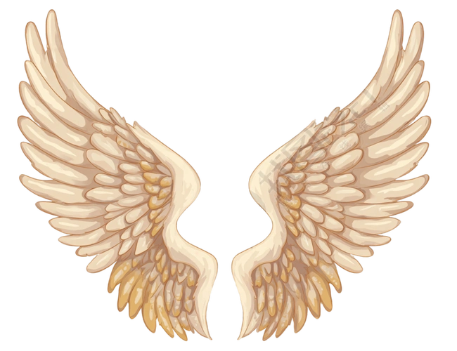 天使金色翅膀插图