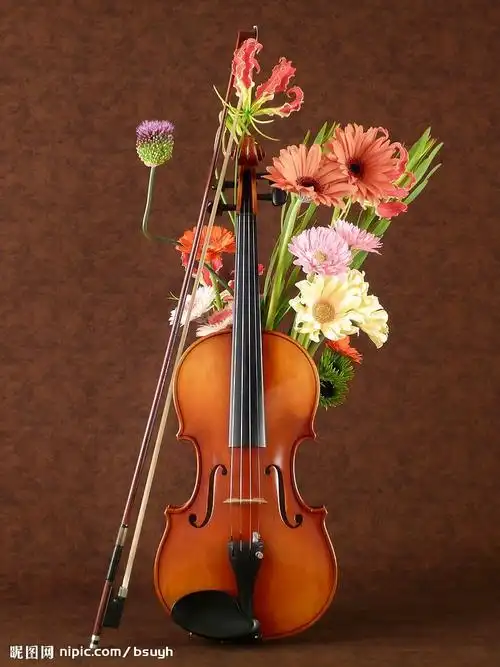小提琴与花摄影图__舞蹈音乐_文化艺术_摄影图库_昵图网nipic.com