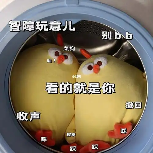 别看了说的就是你