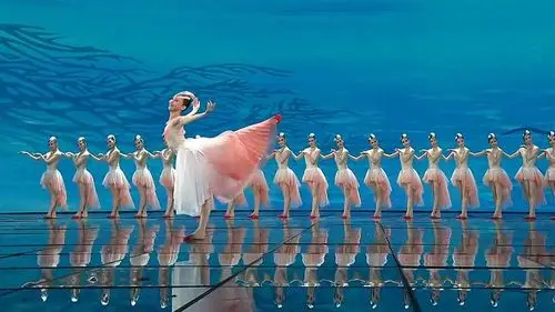 赞央视春晚舞蹈"朱鹮"