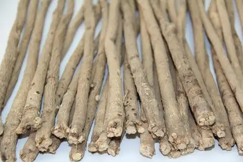 黄芪 性喜寒凉怕热涝,全身入药功效豪.