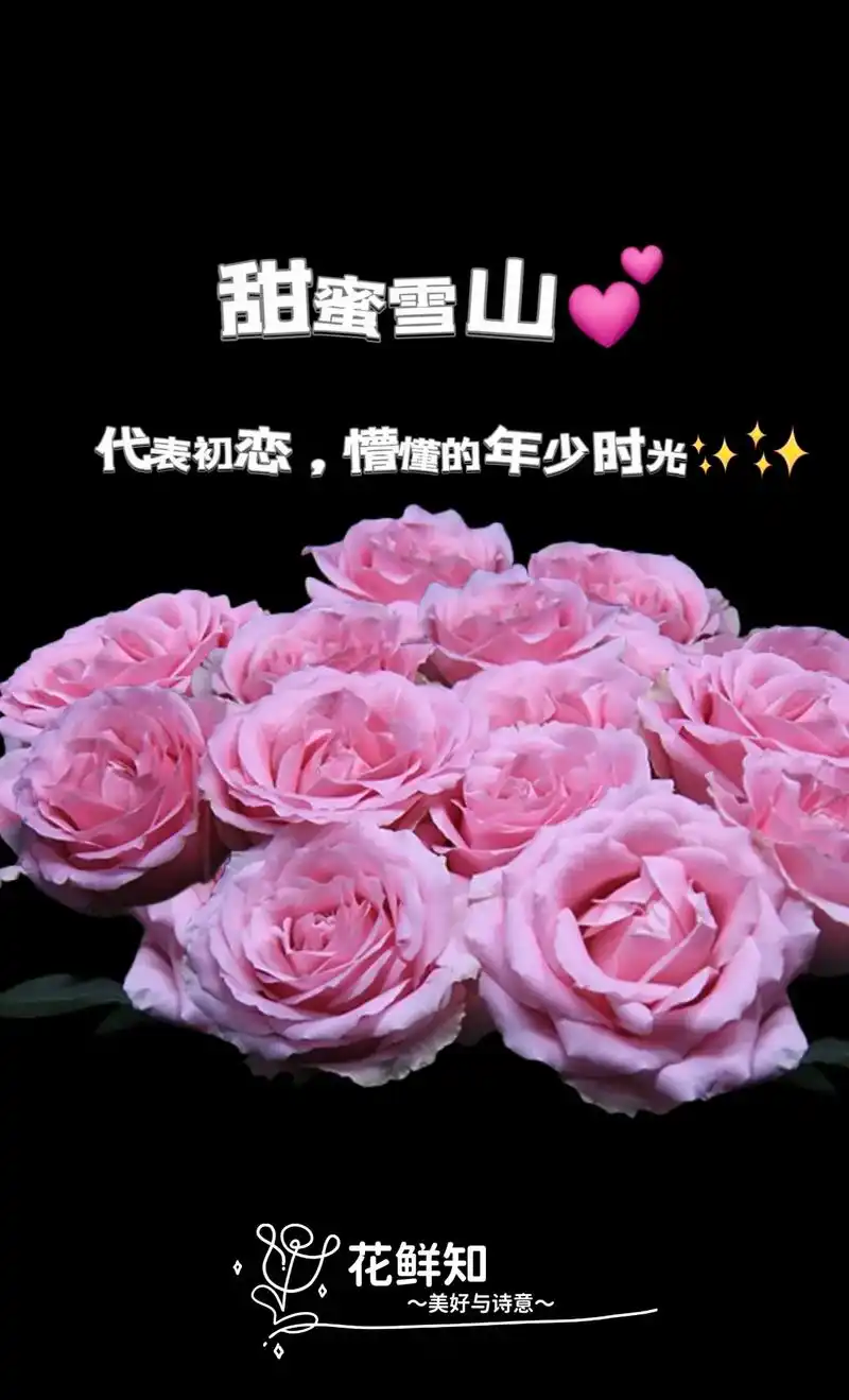 甜蜜雪山91代表初恋,懵懂的年少时光7878.