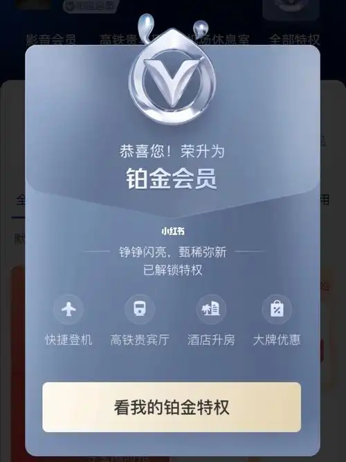 支付宝铂金会员