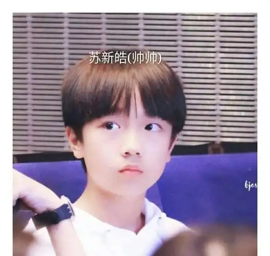 苏新皓又见面了
