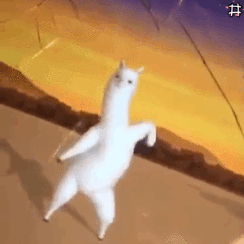 草泥马表情包,神兽羊驼爱你