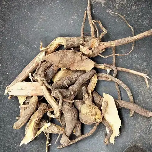 中药材睇牛仔 苦李根 狐狸根 掌牛仔