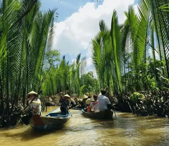 长在水里的椰子形似流星锤口感像果冻越南一到夏天就热卖
