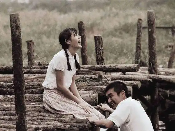 催人泪下的影片《假如爱有天意》,它是如何成为经典的?