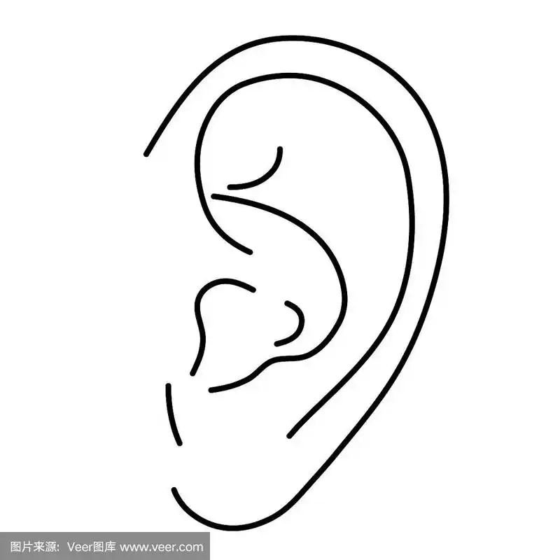 人的耳朵,绘画插图,矢量,黑色,白色背景