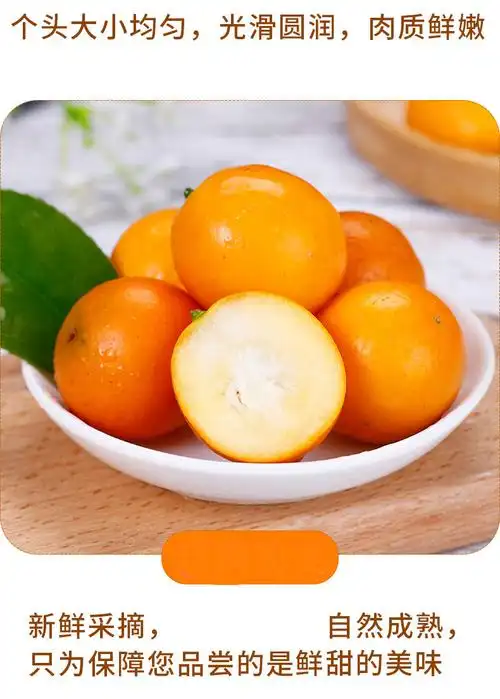 金桔麻皮金桔黄金金桔新鲜水果脆皮小桔子金橘子应季整箱1斤尝鲜装