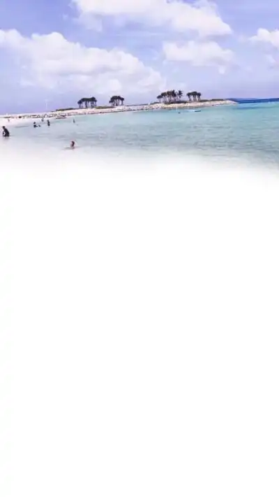 qq空间透明全屏背景 - 堆糖,美图壁纸兴趣社区