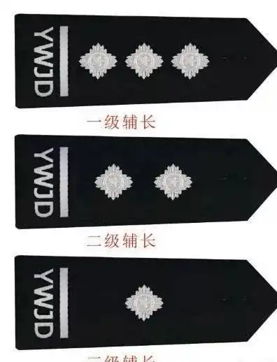 十款辅警警衔,你喜欢哪一款呢?