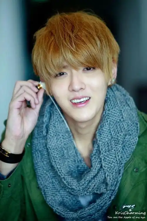kris(exo-m队长)
