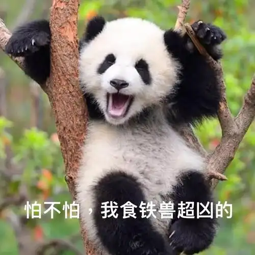 可爱熊猫头像熊猫头像