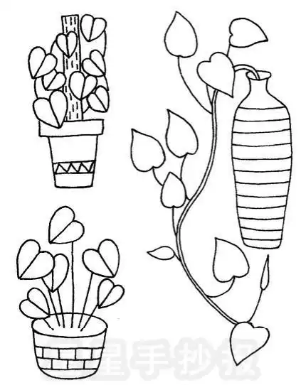 藤本植物的花的简笔画