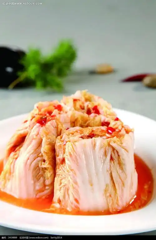 广州哪里有学泡菜 泡菜培训学校