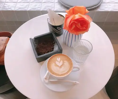 twins house鲜花咖啡卡布奇诺 - 堆糖,美图壁纸兴趣社区