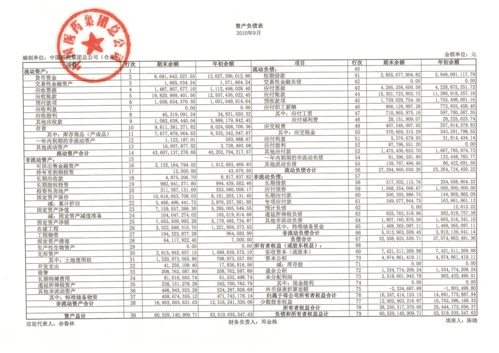 中国医药集团总公司2010年第三季度财务报表