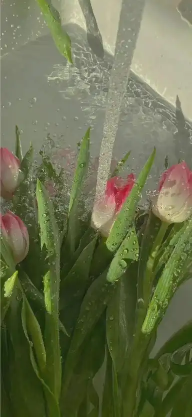 夏日唯美清新手机壁纸下载-夏天清凉解暑超清竖屏壁纸大全 - 非凡软件