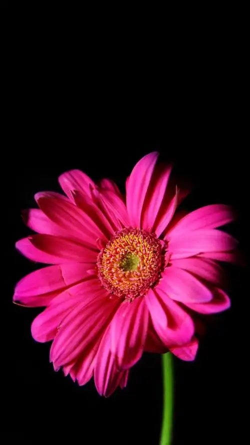 1200_2135竖版 竖屏