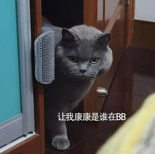 蓝猫表情包大赛有无友友参加