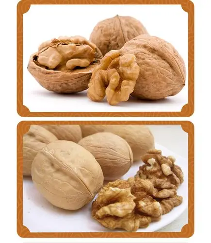 出口核桃仁白头路白二路白三路10公斤箱可商检出口外贸订单