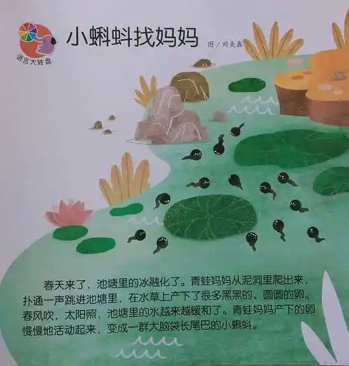 【绿色沁源.奋进教科】绘本故事136——《小蝌蚪找妈妈》