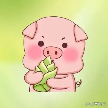 十二生肖解读,你有哪些特点?「属猪篇」