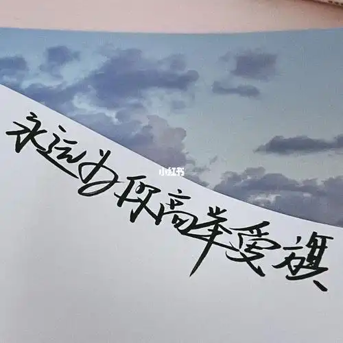 手写追星女孩文案06