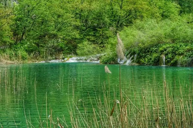 春天湖水大多呈现一片绿色.