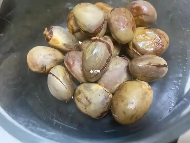 菠萝蜜籽果核