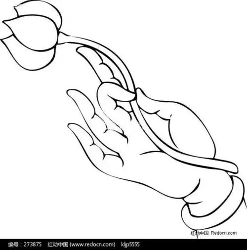 各种佛手素材图 文身快讯 文身快讯 中国文身艺术联合会