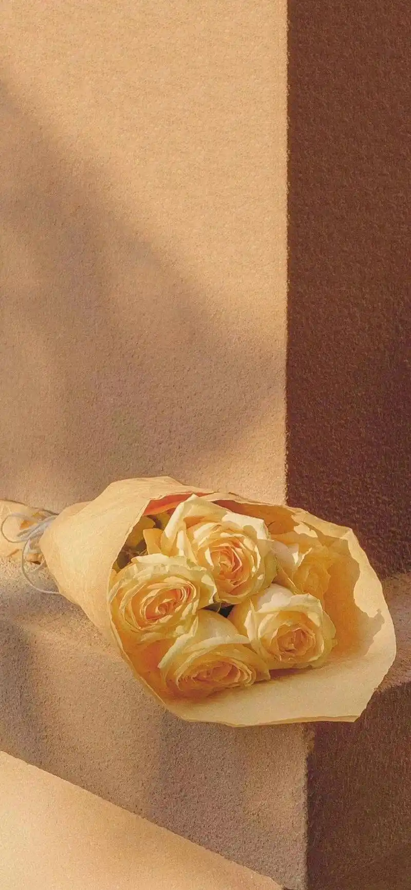 适合发到朋友圈的日常文案,干净现实,唯美经典!