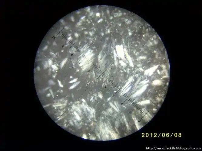 灰白色风化壳中的透闪石显微纤状结构,正交偏光,倍率200.