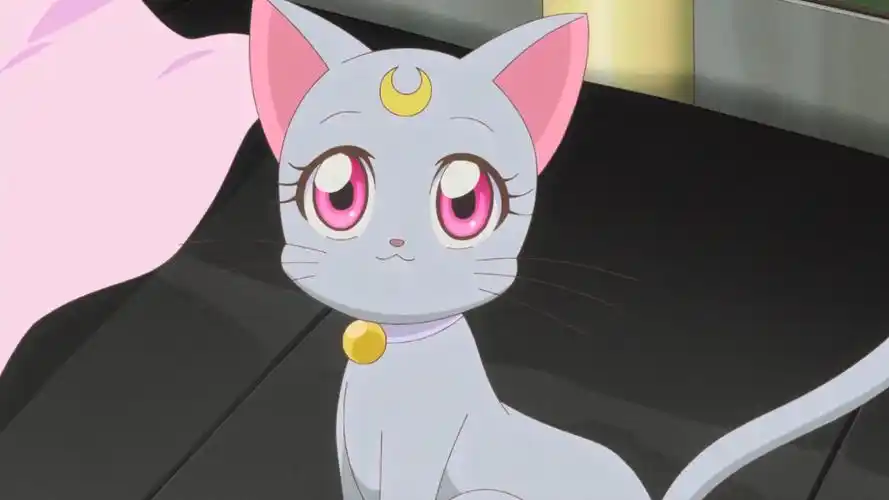 《美少女战士》戴安娜